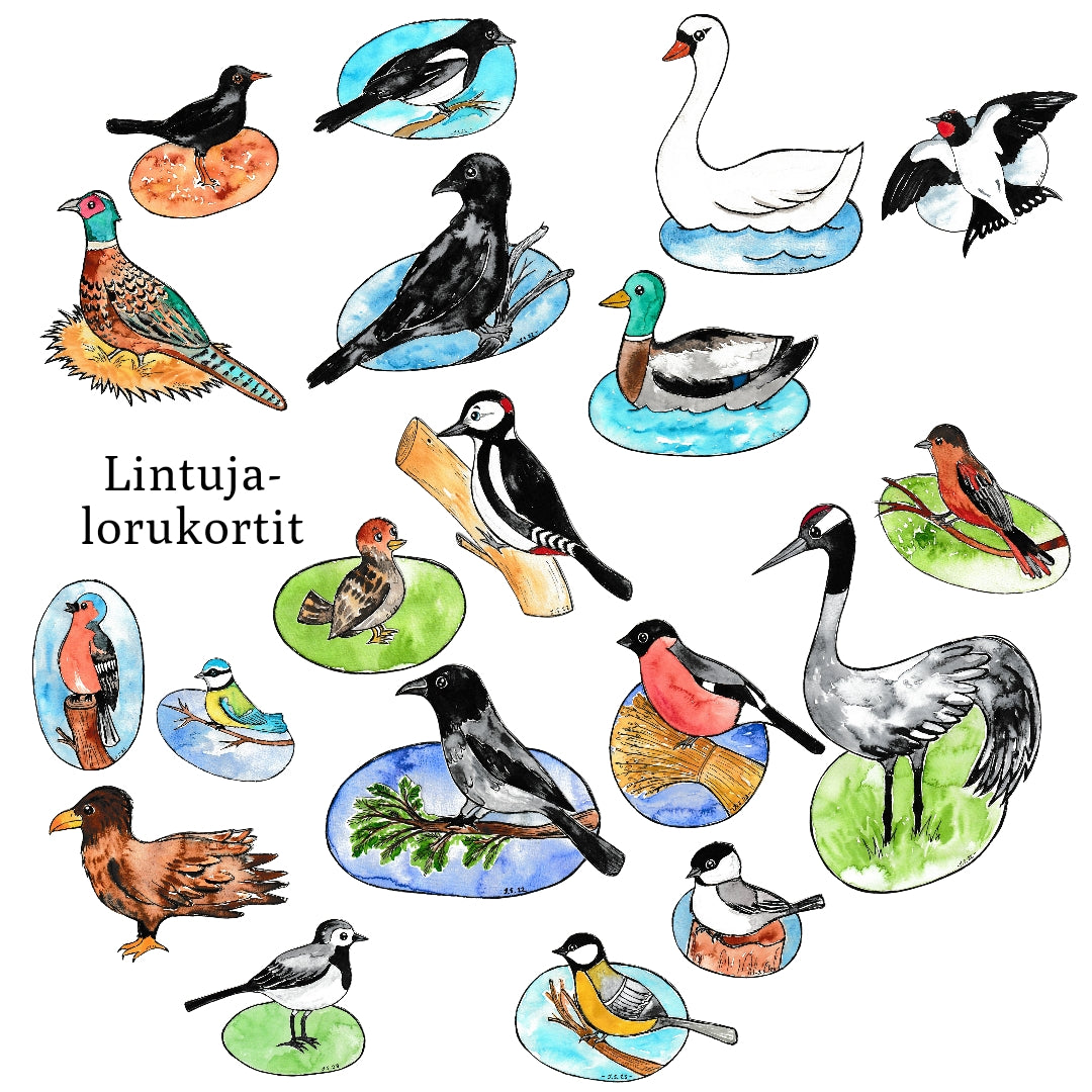 Lintuja lorukortit Tiedostona Loruisa lintuja-lorukortit-tiedostona-loruisa